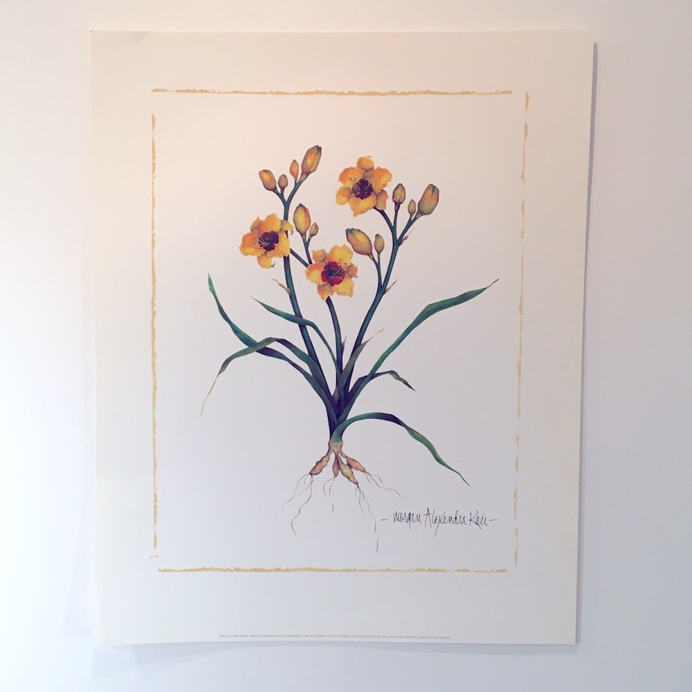 LITTLE JOHN DAYLILY Giclee print on premium paper
